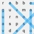 WordSearch
