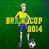 Brazil Cup 2014
